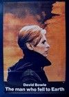 The Man Who Fell To Earth (1976)4.jpg